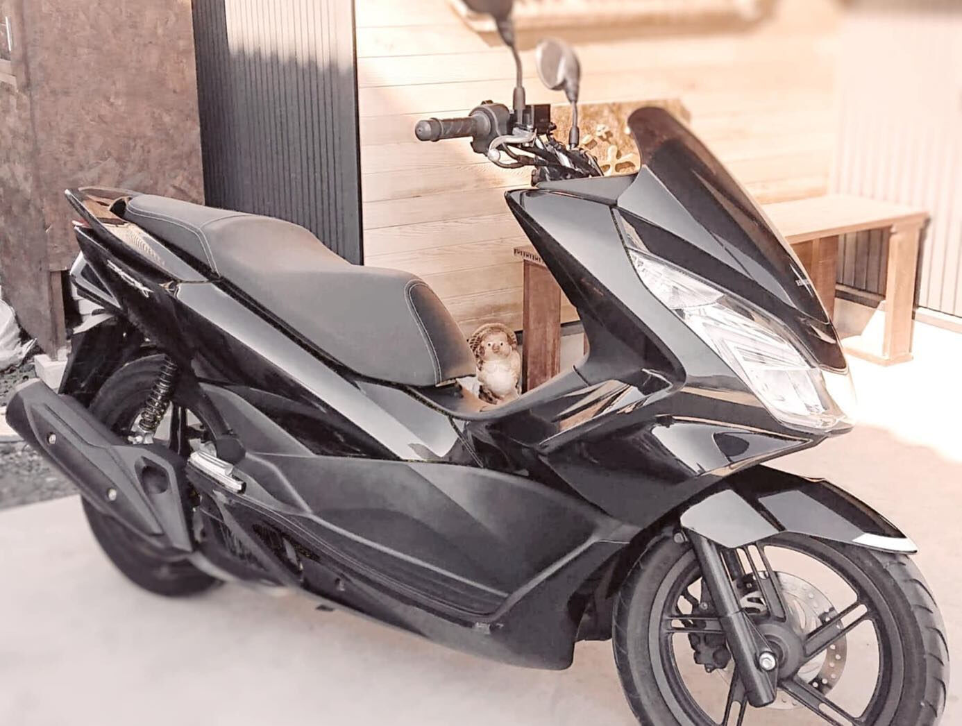 こんにちは！🏍️🚗