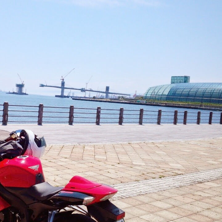 こんにちは🌞！