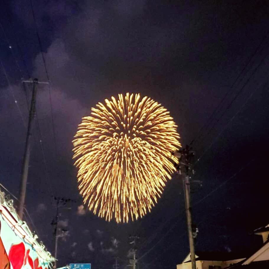こんにちは🌻