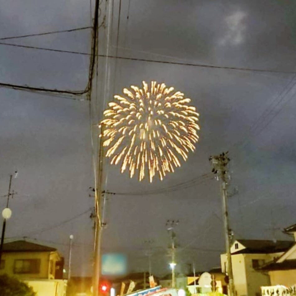 こんにちは🌻